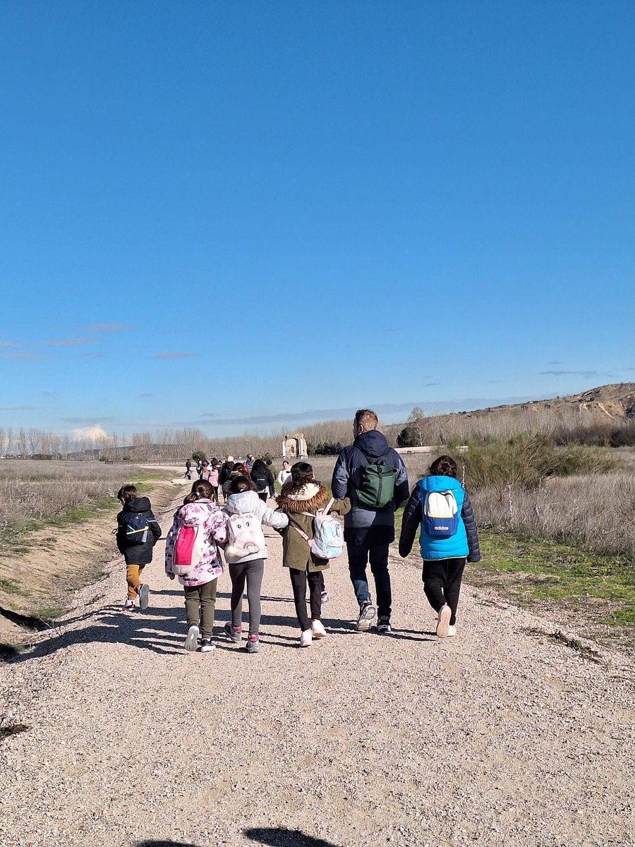 CEIP Ntra. Sra. de la Soledad tweet media