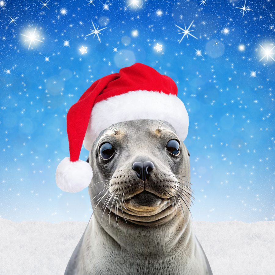 poppyonsui's tweet photo. #XMAS coming soon🎅

https://t.co/5RDSZ8WM5e

#POPPY #MEME #SUI #SUIMEME #CULTMEME https://t.co/BSuHQIoWtx