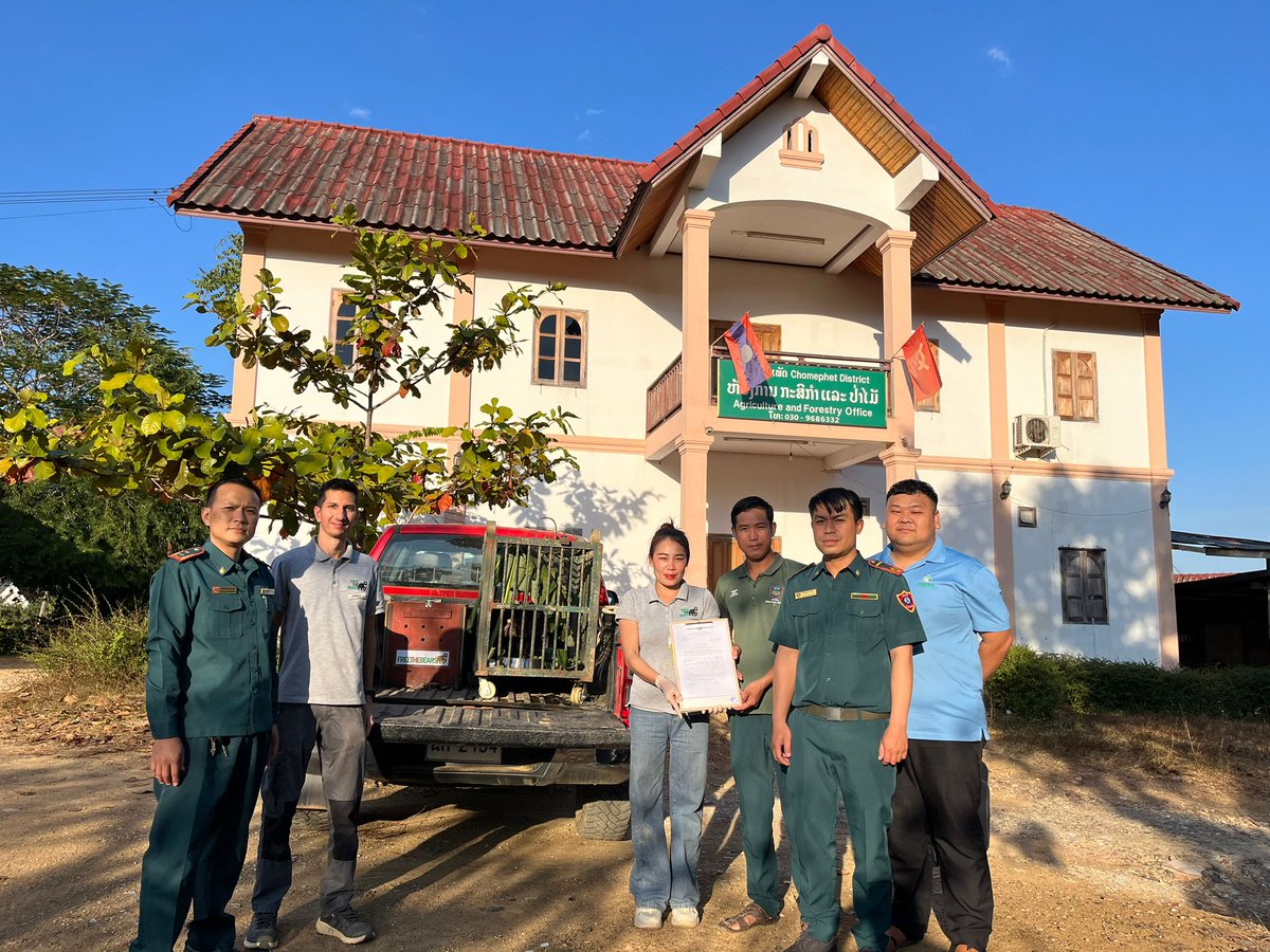 We've just rescued our 34th bear in 2024 (&amp; a critically endangered pangolin),a record year of rescues. The huge number of rescues has placed immense pressure on our small charity.This Giving Season, please give generously, thanks: freethebears.org/pages/donate
youtube.com/watch?v=3hRSIv…