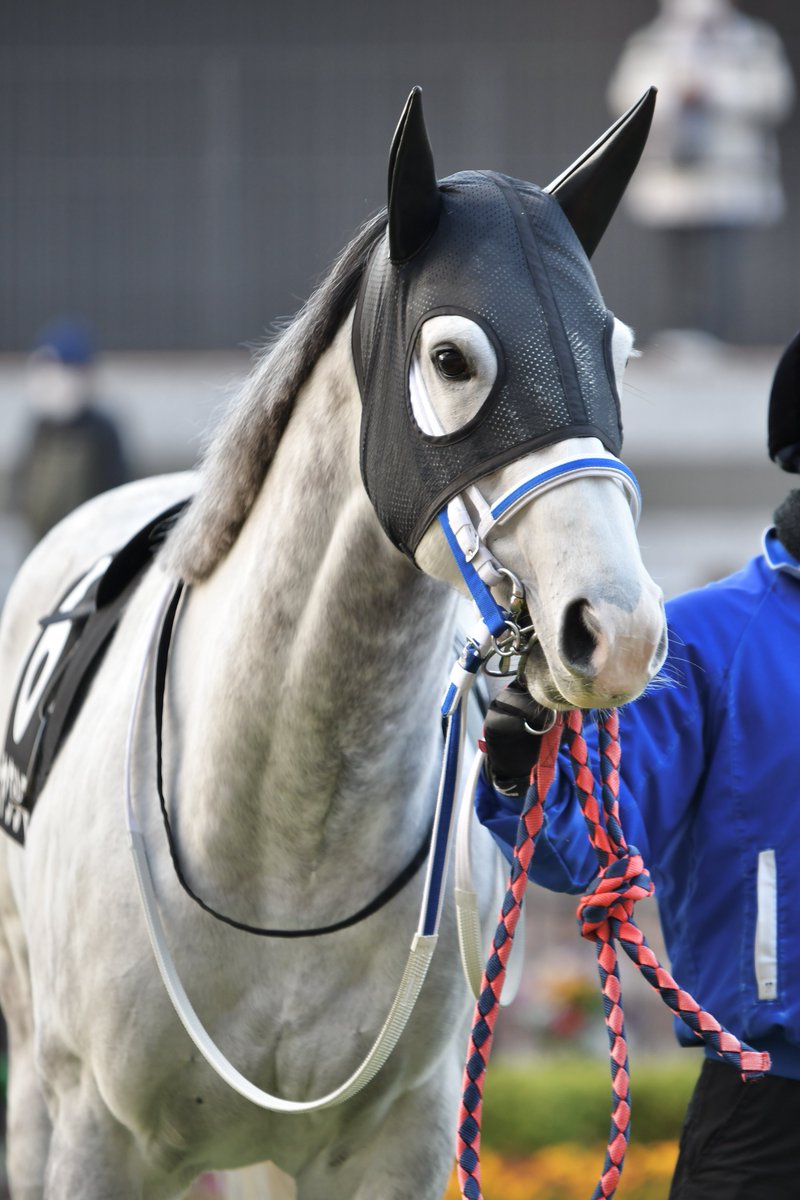 E3%82%BF%E3%83%B3%E3%82%B6%E3%83%8A%E3%82%A4%E3%83%88S