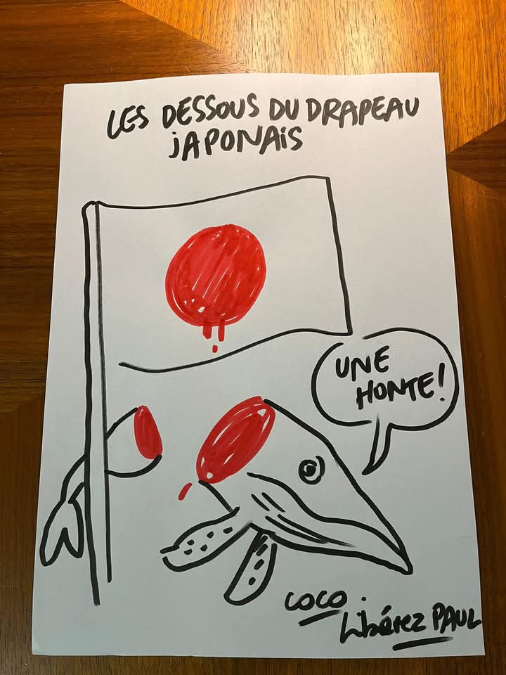 Les dessous du drapeau japonais… la honte ! 

#freepaulwatson

Merci Coco pour ce dessin.
Via Hugo Clément