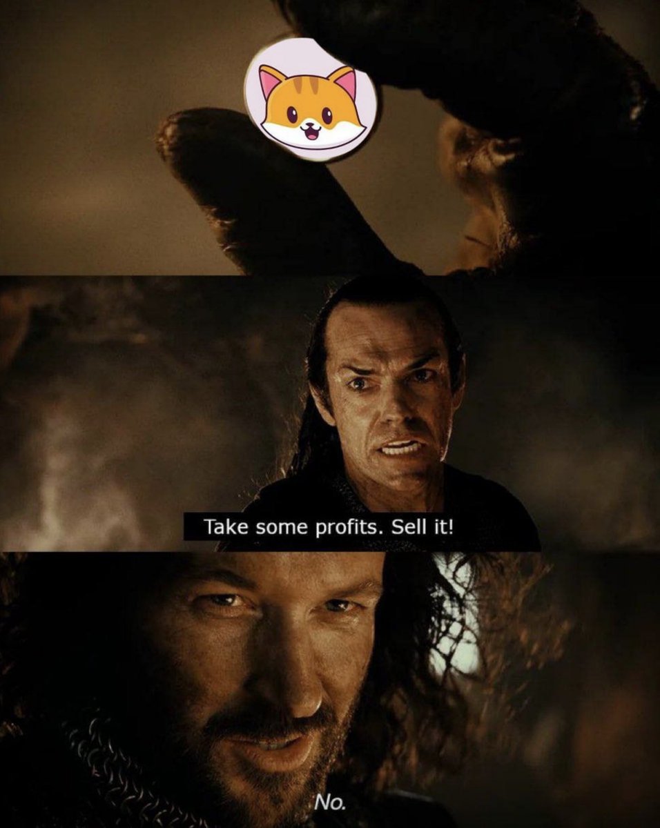 CateCoin (@catecoin) on Twitter photo 