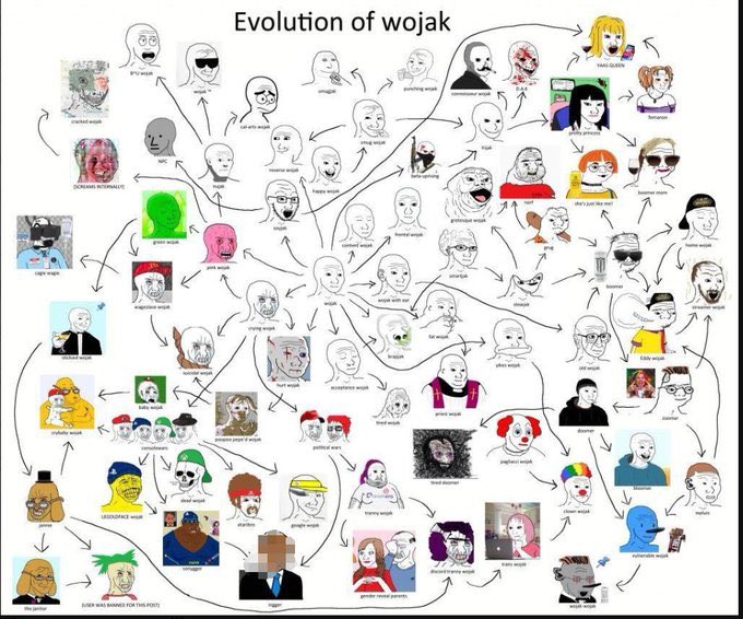 这个IP 迟早起大飞 $Wojak