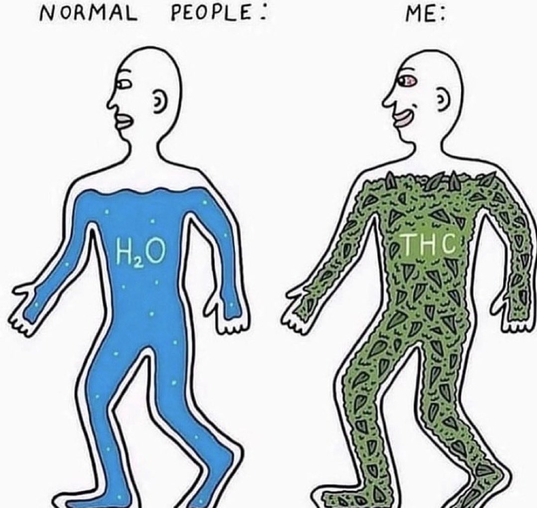 stonersvilla's tweet photo. https://t.co/kTIpFNWnbq