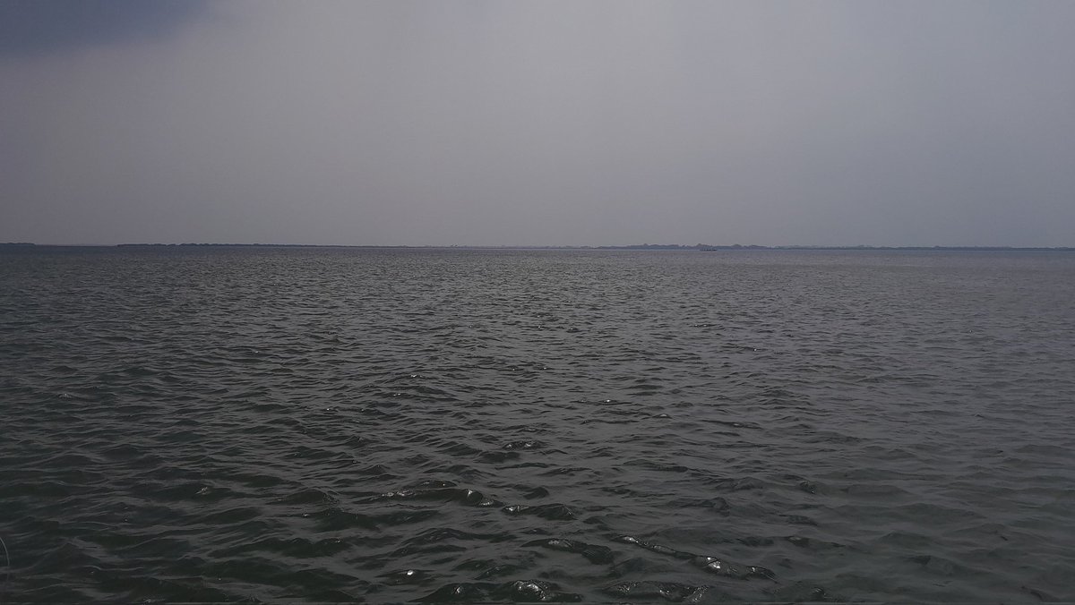 14 hrs long working day including 7 hrs (202 km) extremely tiering driving from south to north Chennai, but a very fruitful field sampling for PhD scholar <a href="/SilpaMkala/">Silpa M.S.</a> at Pulicat. 
Not-so-clear visibility under sea but worth trying. 
With <a href="/Prakash_caridea/">Mission Shrimpossible!</a>, Giri and Anjum.