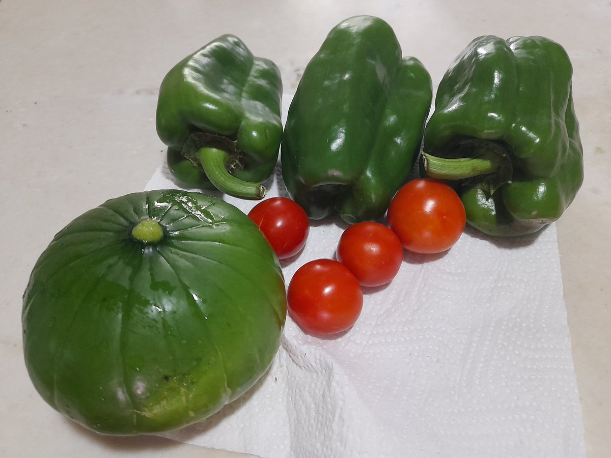 Facu_________3's tweet image. Vamos a ver qué hacemos con esto #HuertaEnCasa