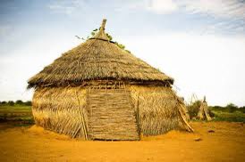 Kakz 🐸 tweet media