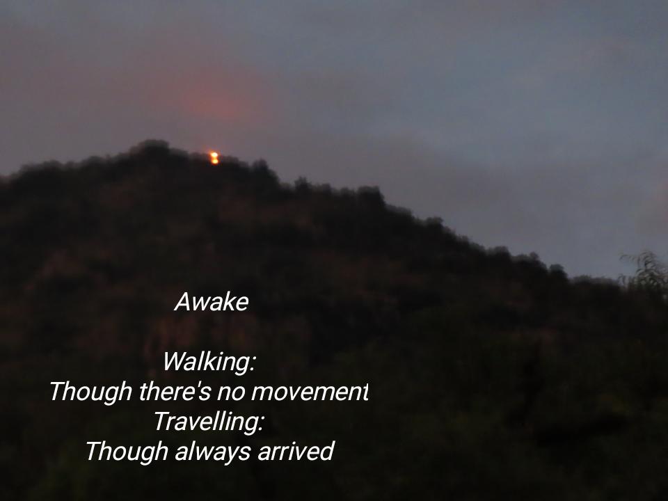 dawnbeforsunset's tweet photo. Awake #life #photopoem #nature #Consciousness #thought https://t.co/3CEgasUZXb