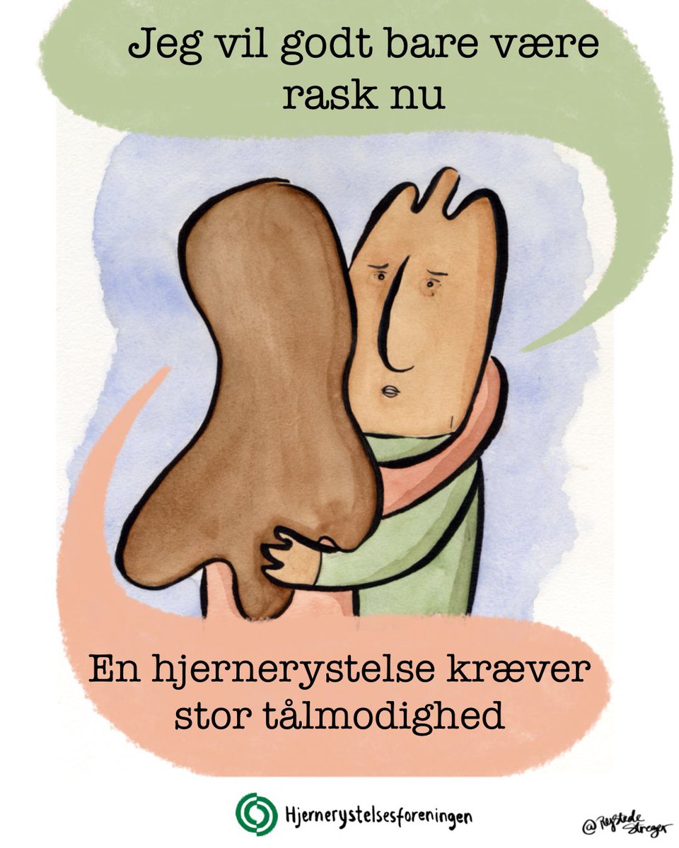 Hjernerystelsesforeningen tweet media