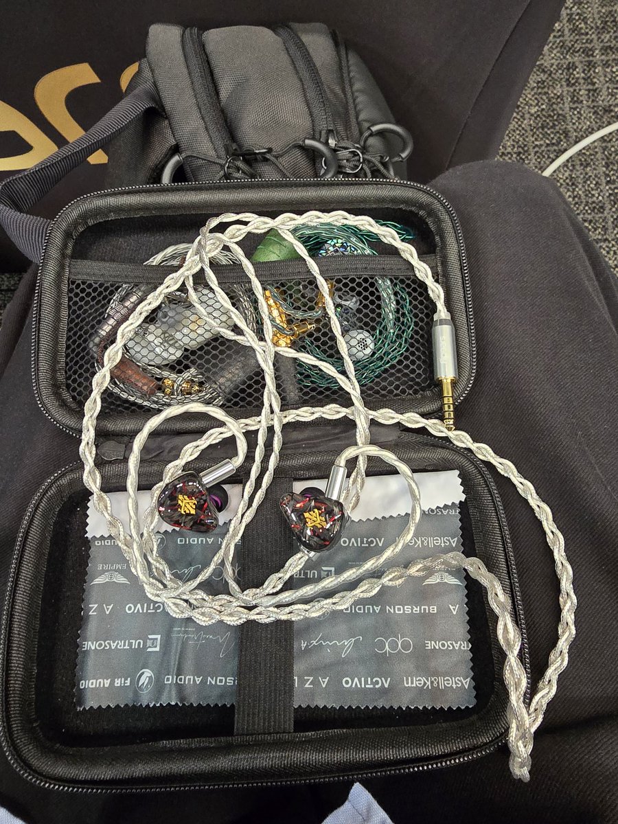 kaze62523's tweet image. flipears aisha
今回のダークホースでaishaproの後継機種、異なるドライバー3つ使ってたはず。深い低音とそれに負けない高音で好みの音。FPは今度はメカよりのデザインに。flipearsのデザインは個人的に外れが無くて良き。今の所の有線イヤホンの購入候補。#ポタフェス