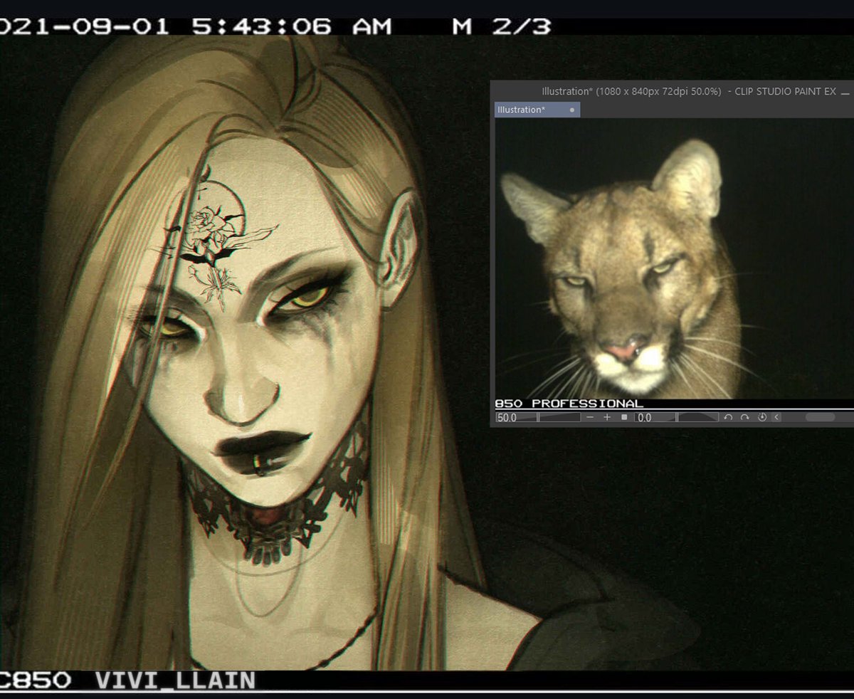 vivi_llain's tweet photo. do you see the vision........ #re8 #residentevil https://t.co/kDKkLHmAyr