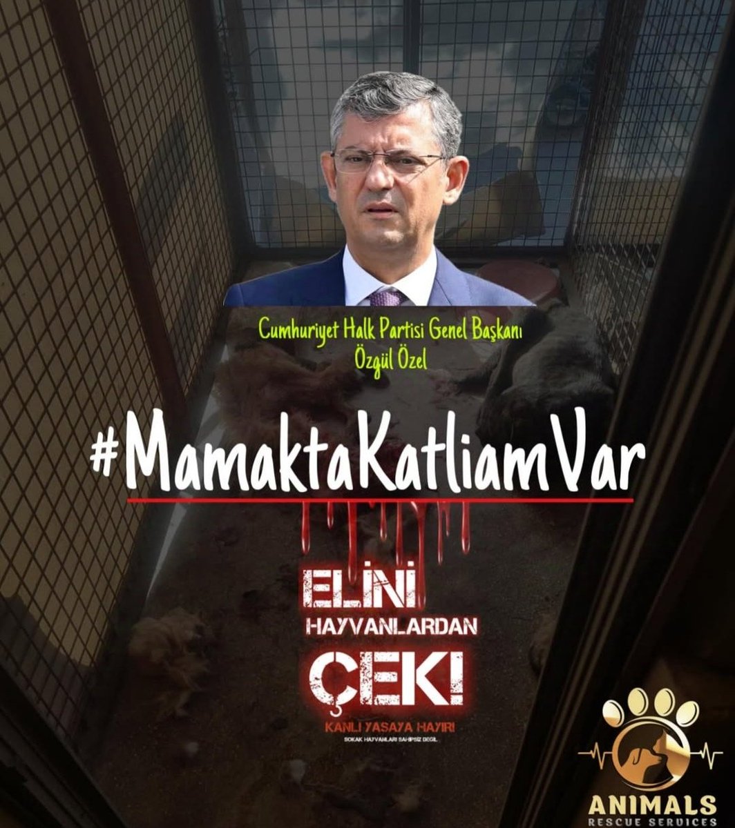 OnurKut51726173's tweet photo. #mamaktakatliamvar https://t.co/6EigB4qA9f