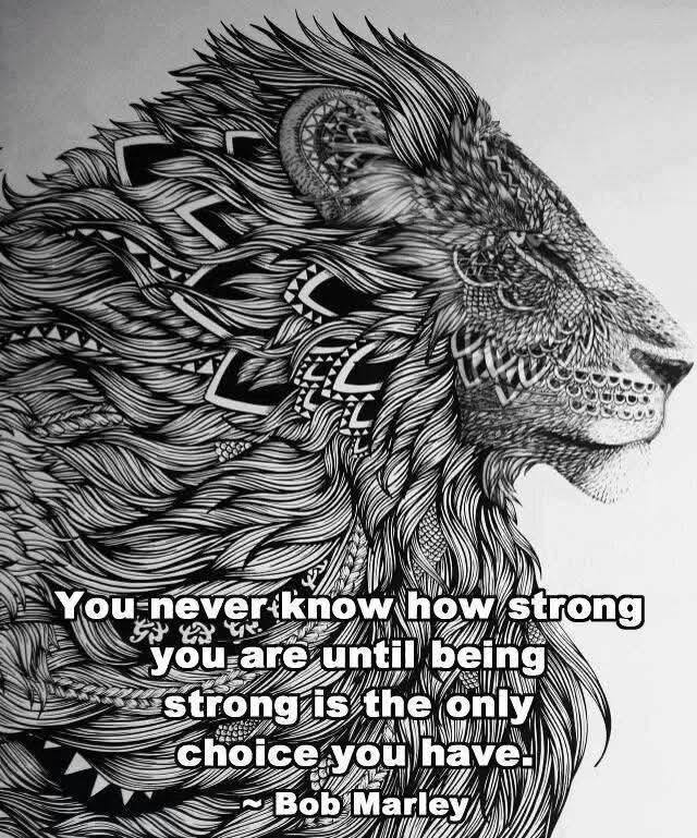 Tinker McAdams tweet media