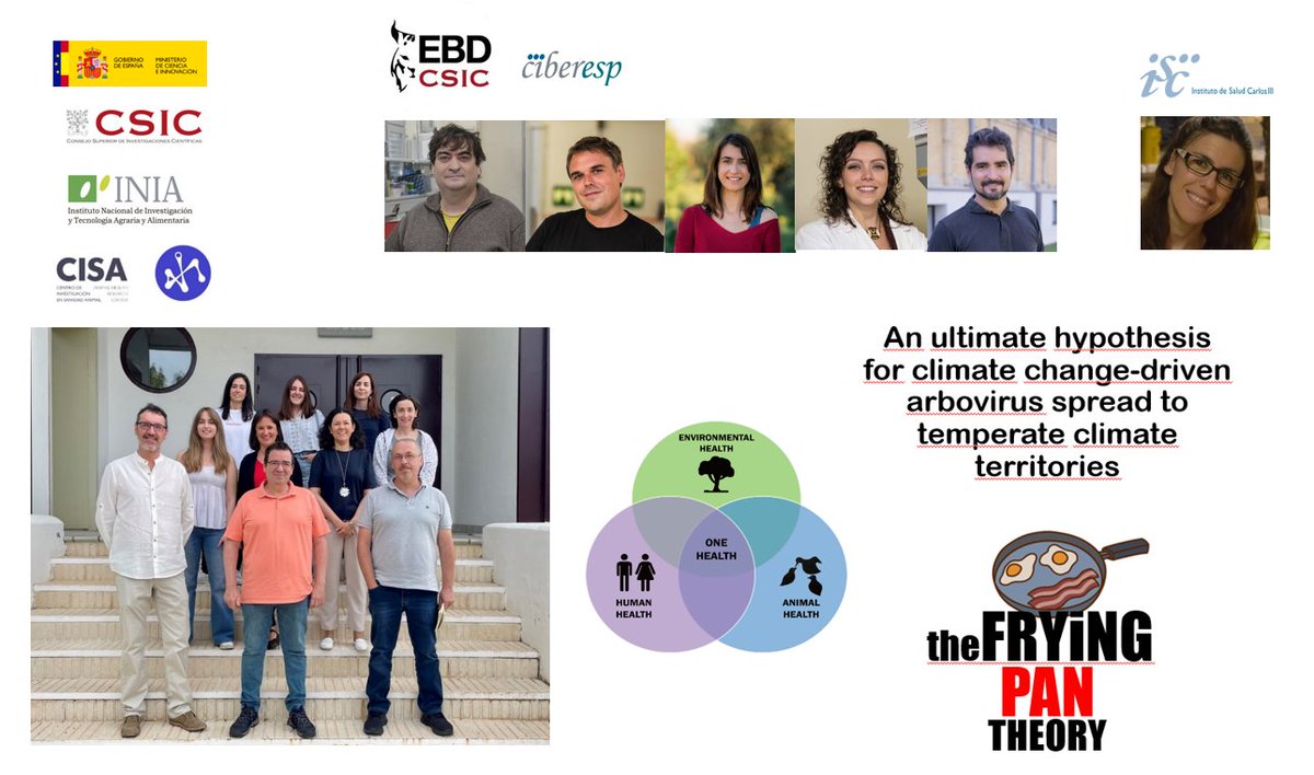 Virusemergentes's tweet photo. Autores de esta comunicación:
@CISA_INIA_CSIC: M.A. Jiménez-Clavero,
P. Aguilera-Sepúlveda, F. Llorente, E. Pérez-Ramírez, J. Fernández-Pinero.
@ebdonana: S. Magallanes; M.J. Ruíz-López; J. Martínez-de la Puente, M. Ferraguti, J. Figuerola
@SaludISCIII: A. Vázquez https://t.co/fGuLrB5lRh