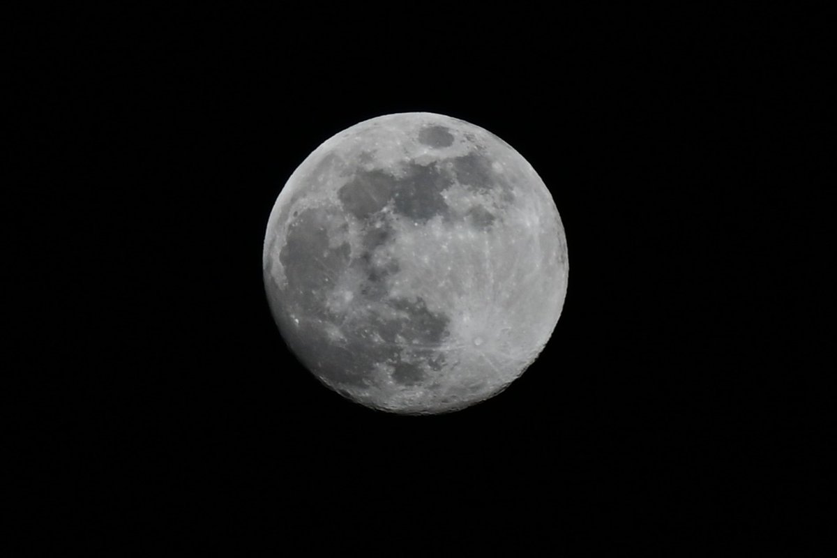 t_sakobe's tweet photo. 明日は今年最後の満月、コールドムーンですね🌕

#大分 #イマソラ  #イマツキ #digoita
#コールドムーン
 #カメラ好きな人と繋がりたい 
#写真を撮るのが好きな人と繋がりたい 
#ファインダー越しの私の世界ᅠ https://t.co/8PY2VlUywg