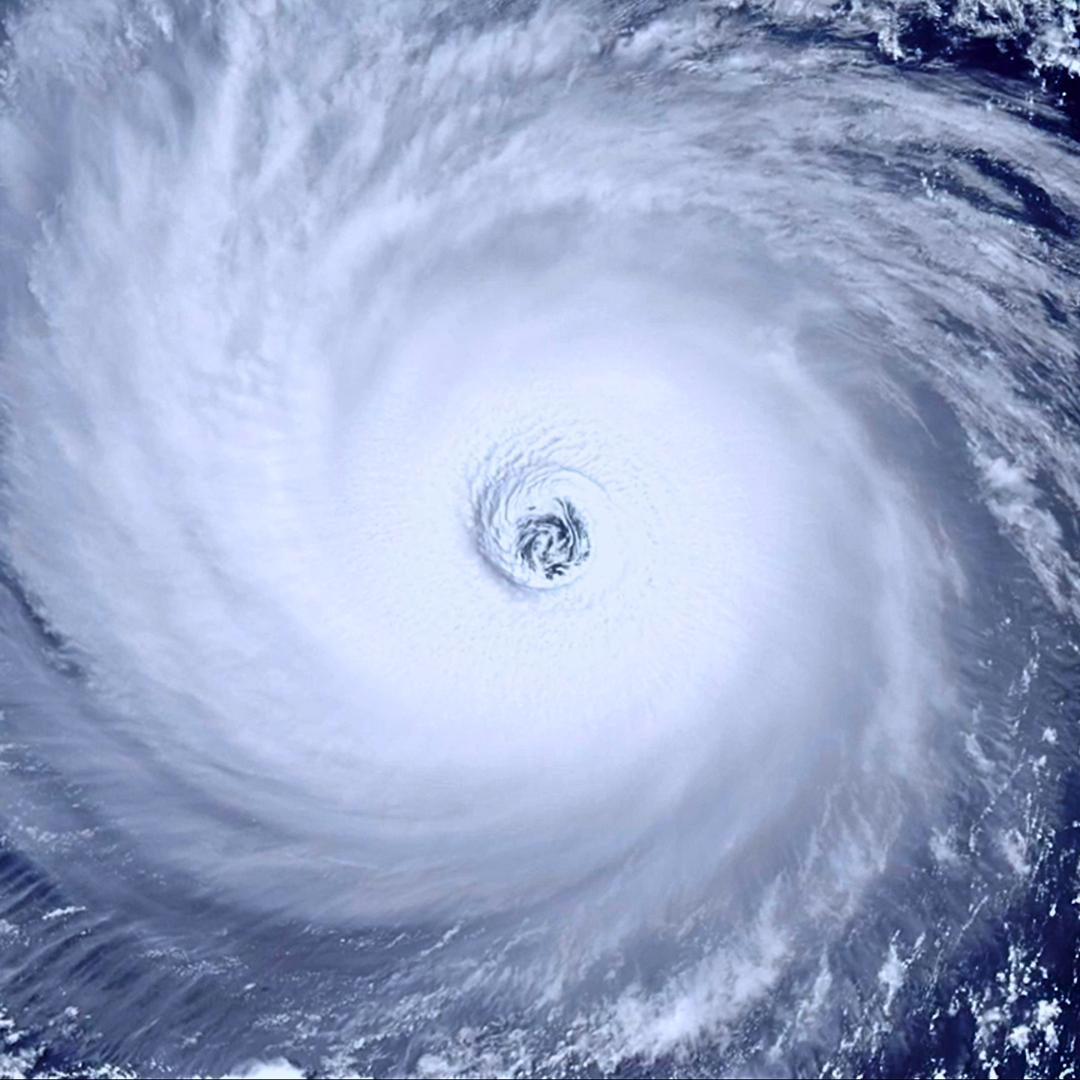 James M Levelle tweet media