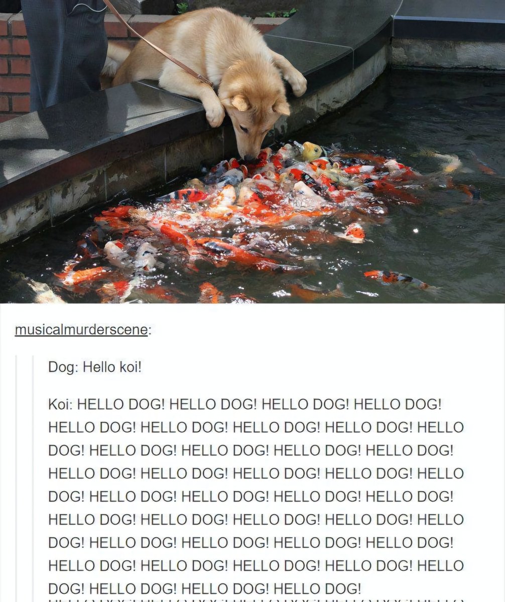caninepoetry (@caninepoetry_) on Twitter photo 