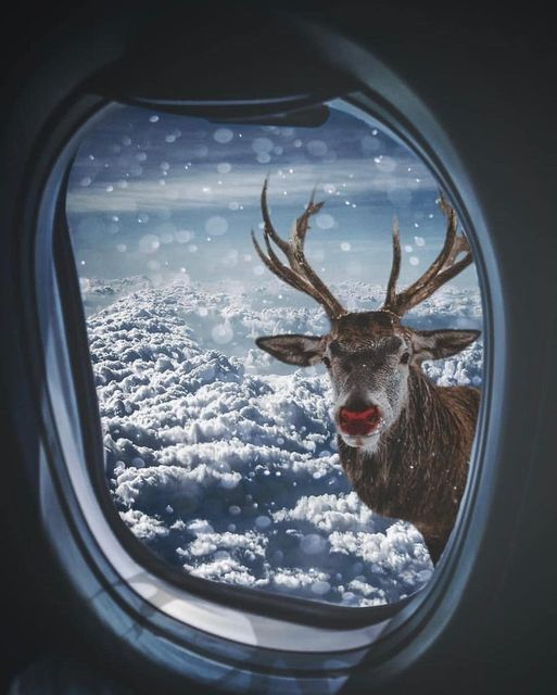 IrenaBuzarewicz's tweet photo. December 14 https://t.co/DttmvRzNHg