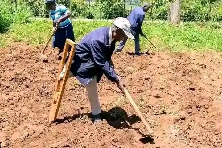 insightcouncil_'s tweet photo. Hii picha aita pata like na retweet zakutosha kwasababu huyu mzee ayupo uchi😭😭 https://t.co/TlLYJ4PK3e