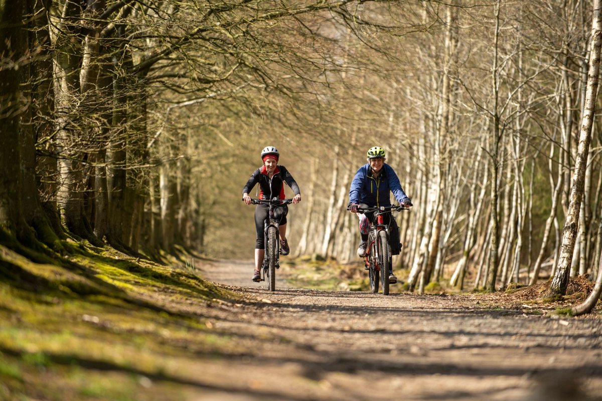 WWCTrustScot's tweet photo. Explore the breathtaking scenery of the Teith Valley on this #RouteOfTheWeek.

Immerse yourself in the area’s rich past by visiting Callander and Dunblane, or enjoy the spectacular views of Doune Castle.

Download the route as a pdf or gpx file here 👉 https://t.co/LwiKCzJwWi https://t.co/ueJGvyWJOs