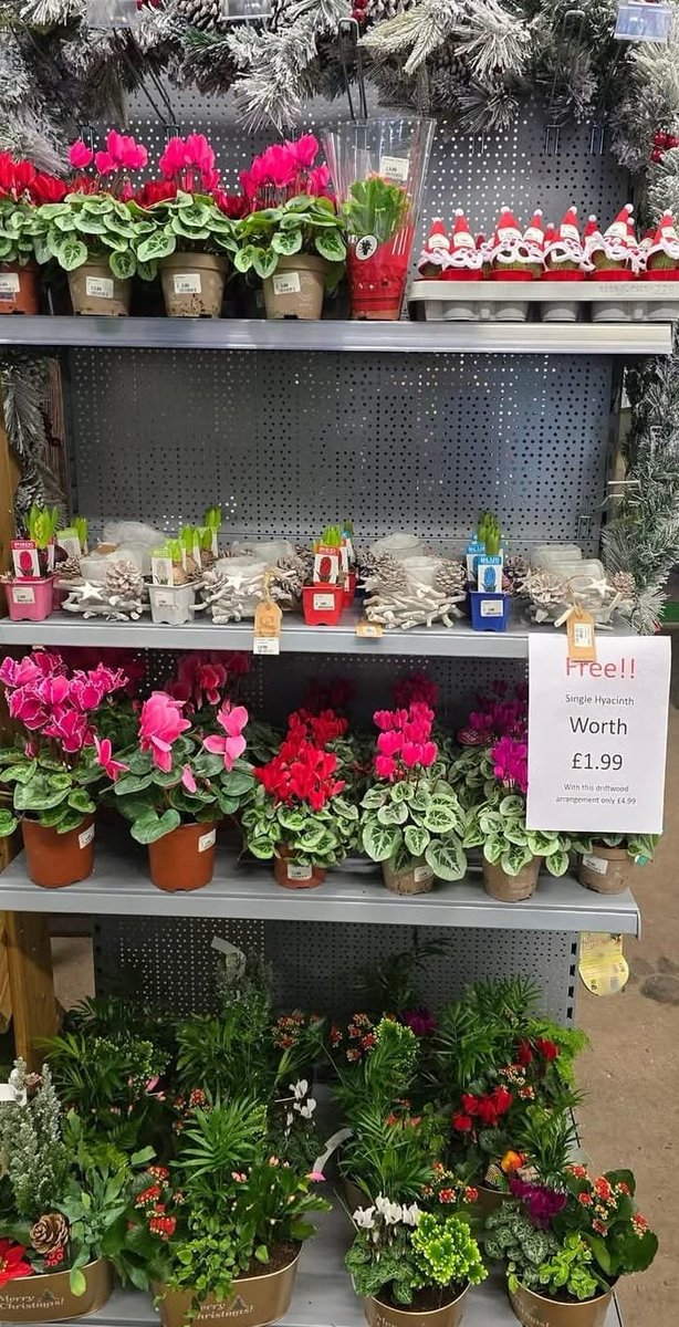 Lakesidepc's tweet photo. For that someone special, the gardener in your life or just yourself. We have a wide range of gifts to suit all pockets. 
#christmas2024 #christmasiscoming #gifts #christmasgifts #giftideas https://t.co/vIRn5Vo4Yt