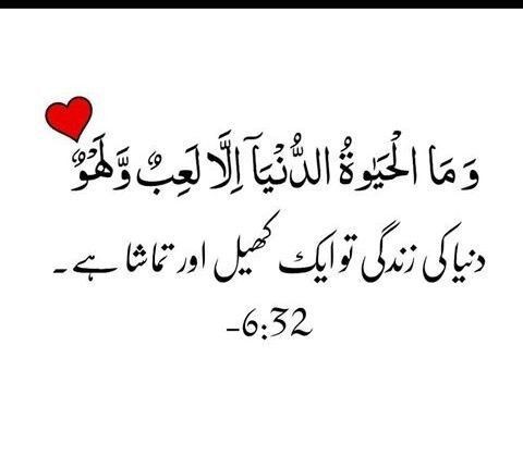Assalamu alaikum 
Have a beautiful day 
Stay connected ✅ 
Good evening ❤