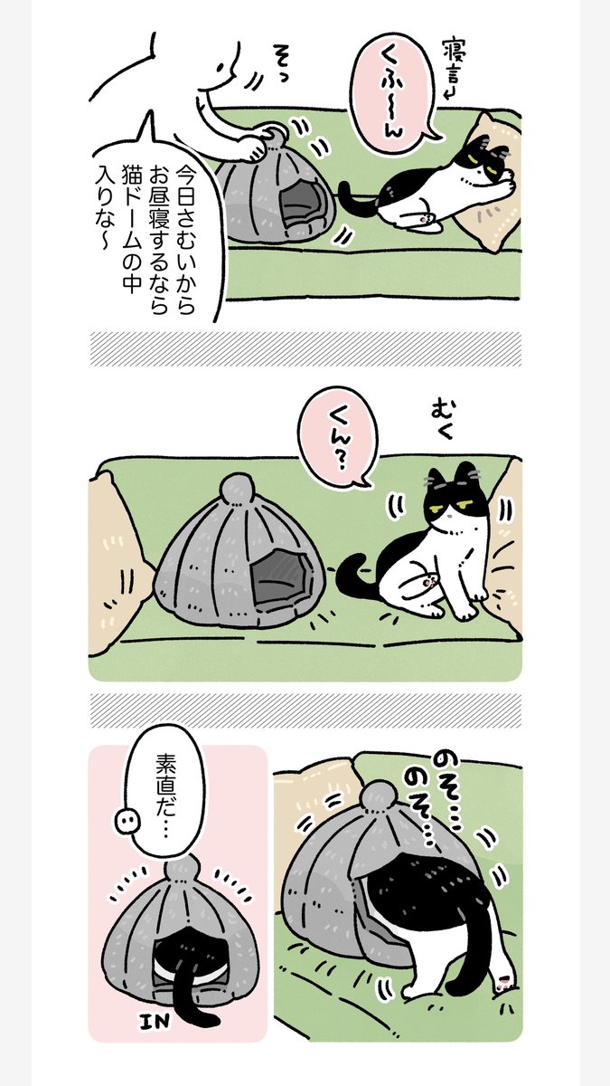 💤(2/2) 