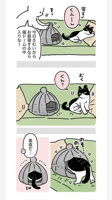 かーくん@旧アカログイン不可 様 専門 AKR｜7巻でたよ(@bou128) さんのマンガ一覧 : 古い順 : 26ページ