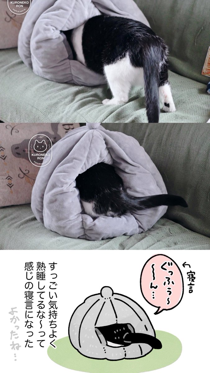 💤(2/2) 