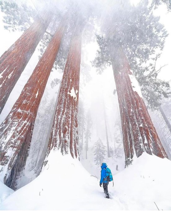 DKadyan2010's tweet image. ☕︎ 𝒢ℴℴ𝒹 ℳℴ𝓇𝓃𝒾𝓃ℊ ☕︎  
On this peaceful Saturday, may our worries be light, our moments be memorable, and our hearts be full of gratitude. May our day be a delightful mix of relaxation and cherished moments. ❤️❄️❄️😋❄️❄️❤️#HappyWeekendVibes