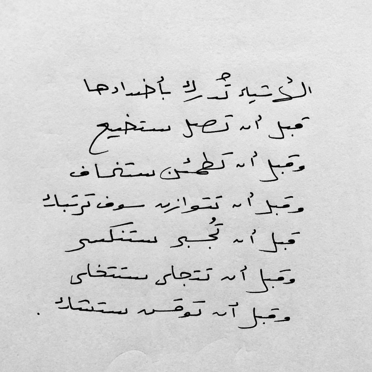 𝐂𝐚𝐢𝐫𝐨 𝐌𝐨𝐜𝐤𝐢𝐧𝐠𝐛𝐢𝐫𝐝 tweet media