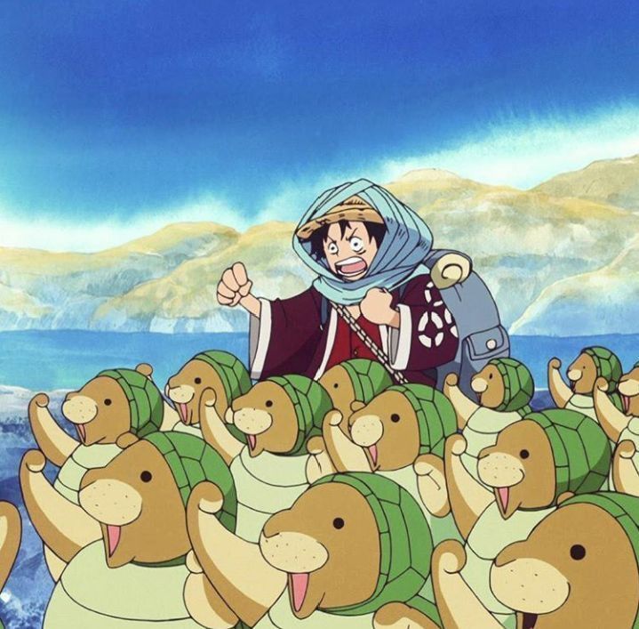 One Piece Daily (@opdaiiy) on Twitter photo 