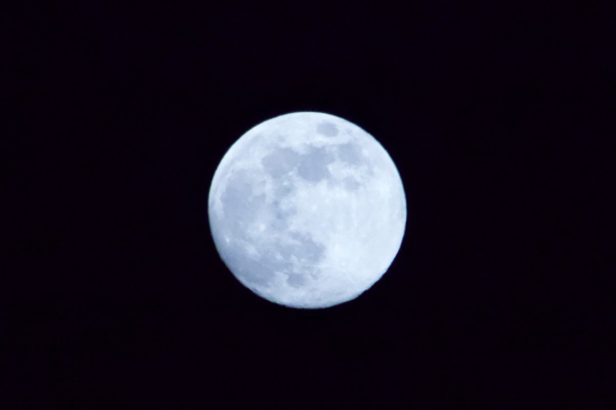 오늘 달을 봤나요? 오늘따라 더 밝고 선명하게 보여요. :)