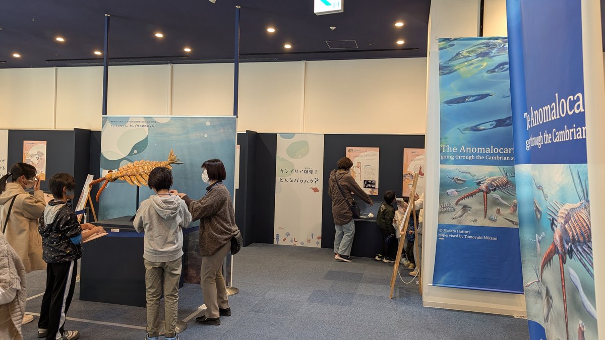 SunnyDAO tweet media