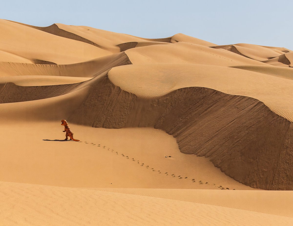 Finding Rex tweet media