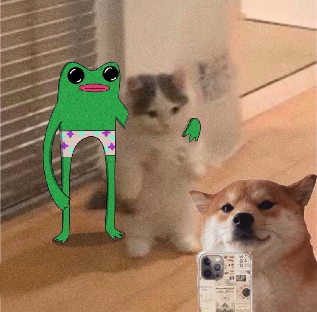 thisisdjen's tweet photo. I know narrative is all AI right now but i can see people from strong cults a lot on my timeline. 

$Michi
$selfie 
$fwog 

etc https://t.co/n3XMHDXfED