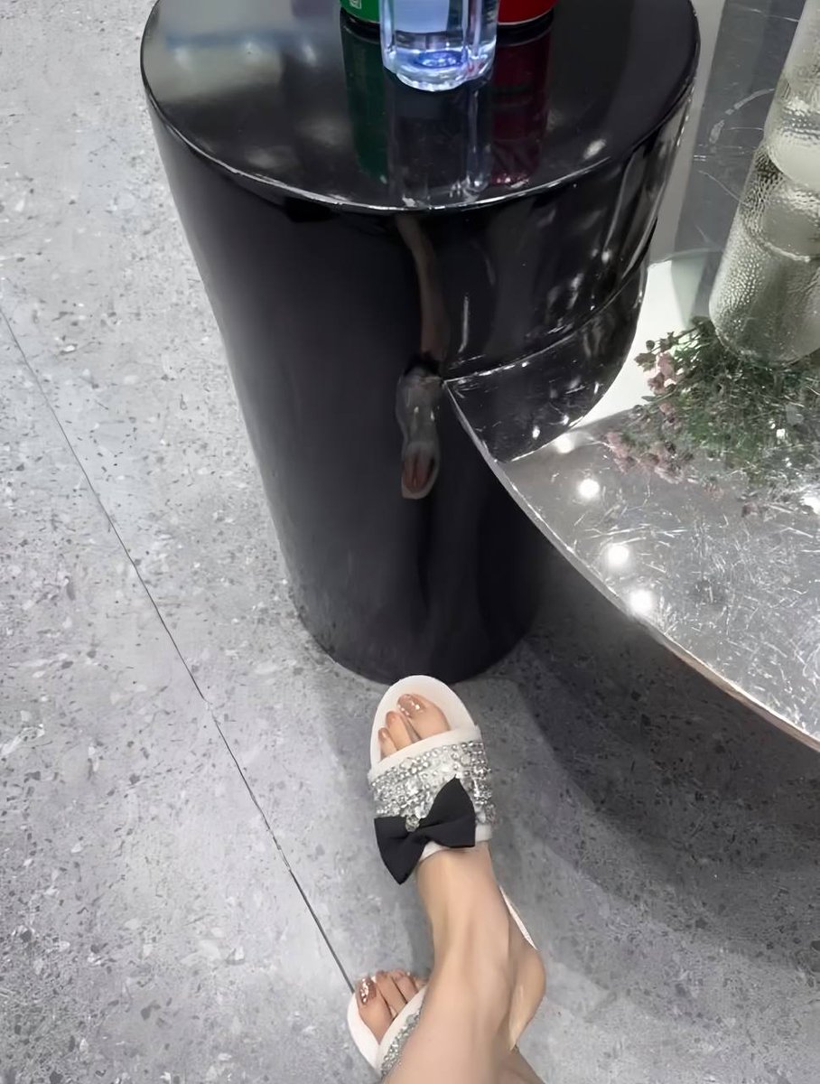 SaraTikcat's tweet photo. 点击观看更多美脚 https://t.co/s7gZvH9QU7 https://t.co/YK5lNxMEPd