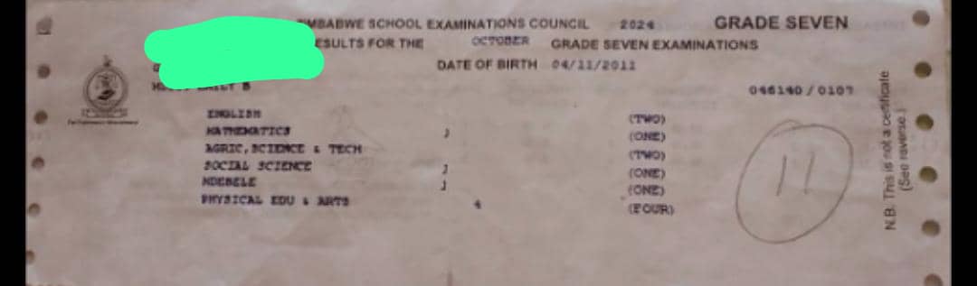 This girl is has 11 units at Grade 7, she is an orphan, she is appealing for help to go to secondary next year.
I spoke to her,she want to be a doctor. Near by schools are us$60 ,,, us$230 low coast boarding scul &amp; $500  boarding scul.
+263712336972 .
Retweet this message.