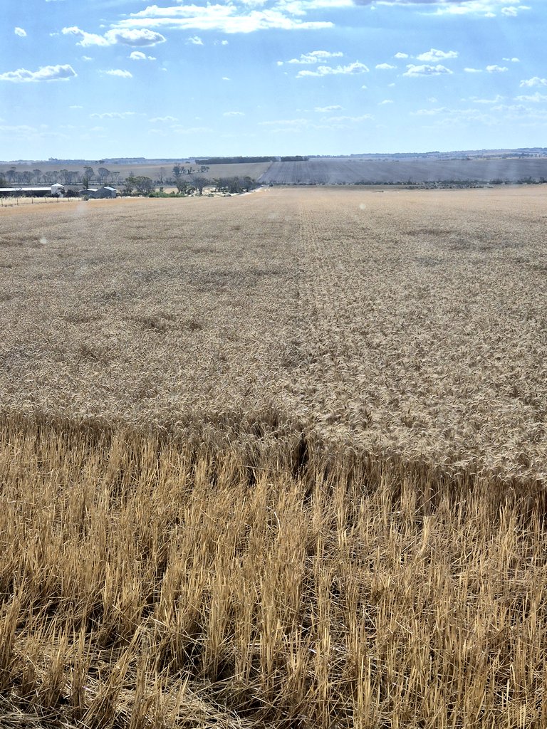 Ashley Jacobs tweet media