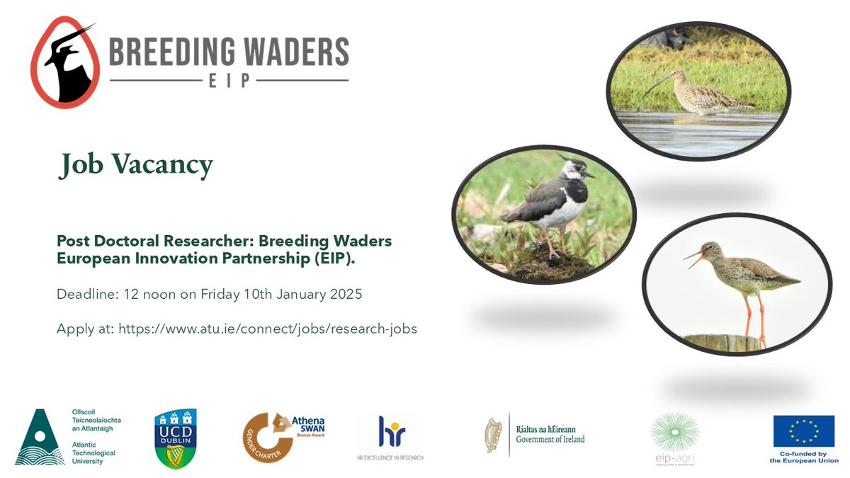 Breeding Waders EIP are currently recruiting a Post Doctoral Researcher. This is a full time position and will be based at ATU Galway City Campus. Closing date Friday Jan 10th.
See our website for more details.

breedingwaders.ie