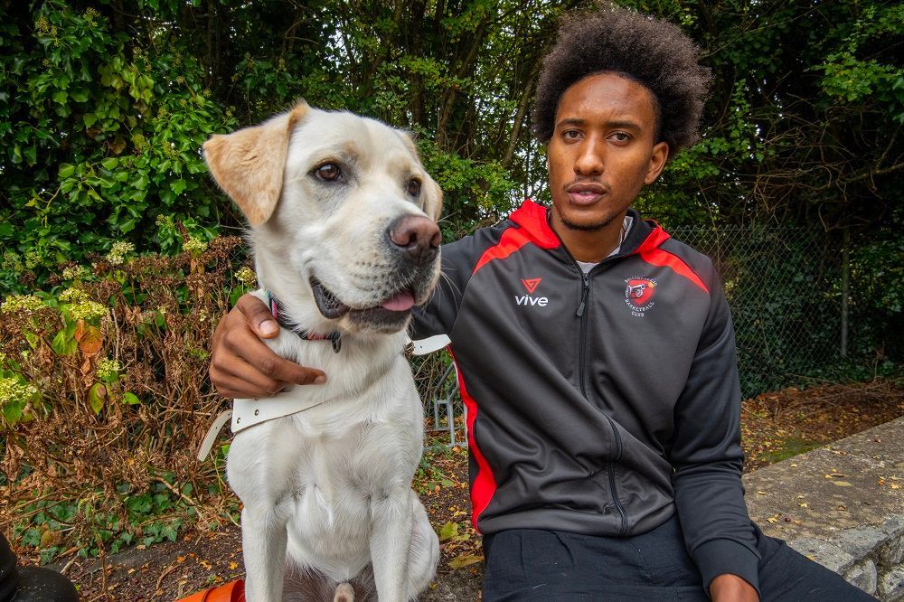 Irish Guide Dogs for the Blind tweet media