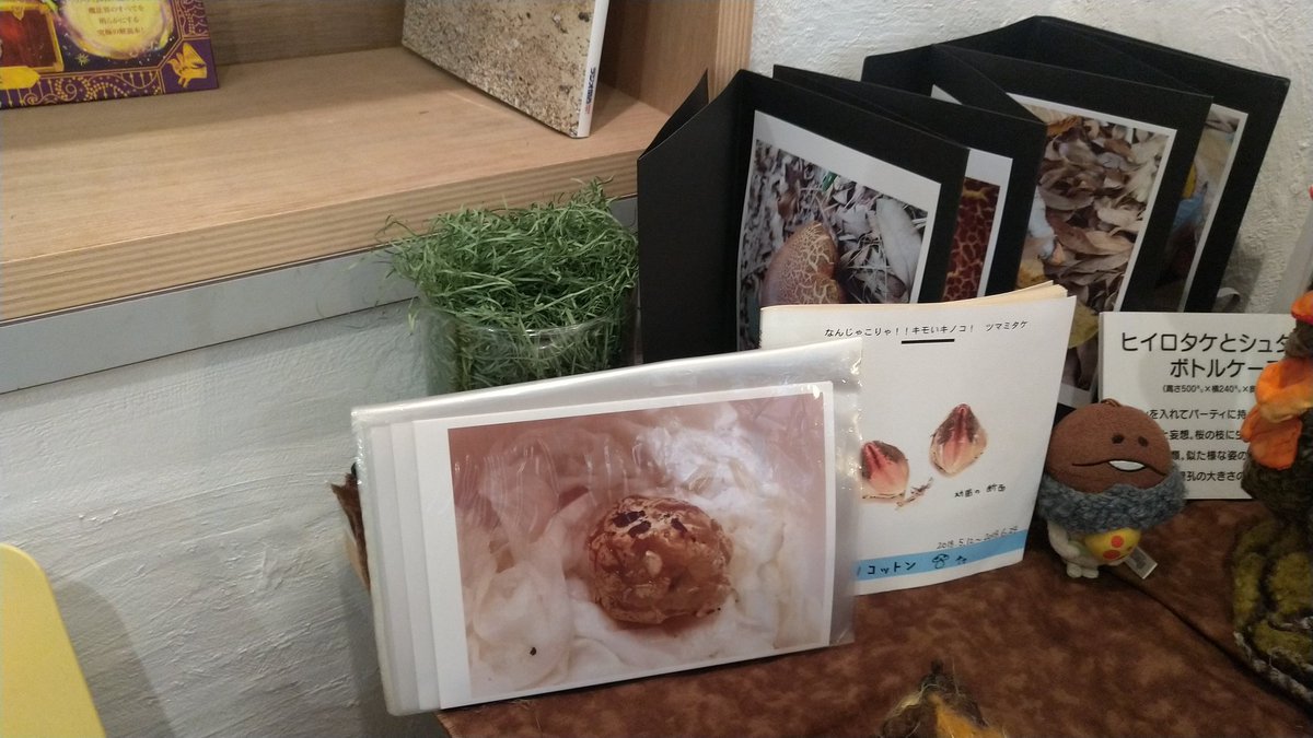 キノコットンさんの作品①
シンきのこのシロ
 #きのこなめこ