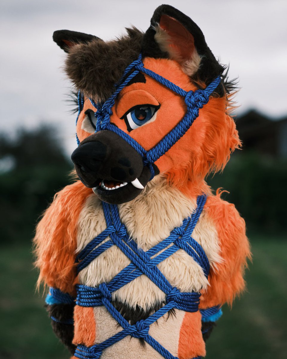 Rusty ๐ก๐๐ (@space_kalak) on Twitter photo Restrained for *your* safety
#FursuitFriday
๐ท <a href="/BrandyTheWuff/">๐พ Brandy ๐พ</a>
๐ชข <a href="/MeekoTooth/">Meeko ๐ FWA</a> Restrained for *your* safety
#FursuitFriday
๐ท <a href="/BrandyTheWuff/">๐พ Brandy ๐พ</a>
๐ชข <a href="/MeekoTooth/">Meeko ๐ FWA</a>
