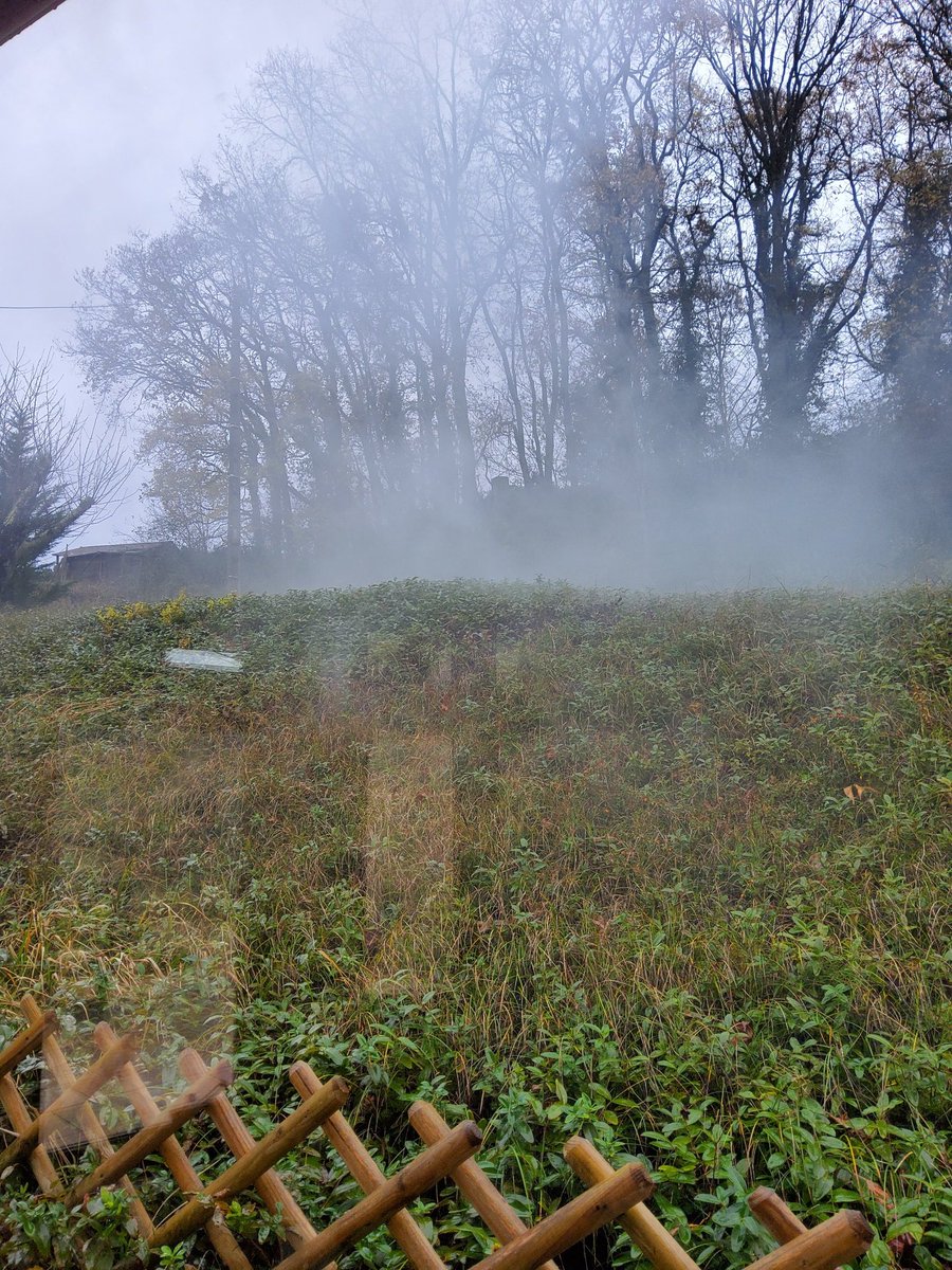 Joke1959's tweet image. Rooksignalen ugh. #ramonage