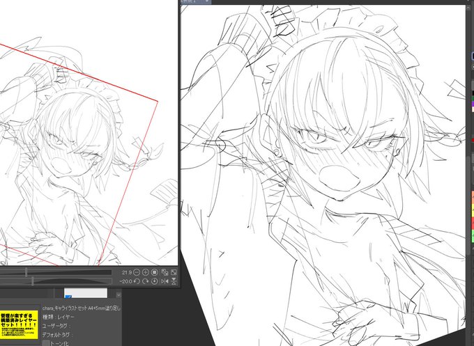 久しぶりにネルです 