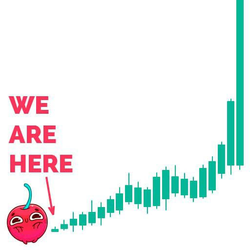 Hot Cherry tweet media