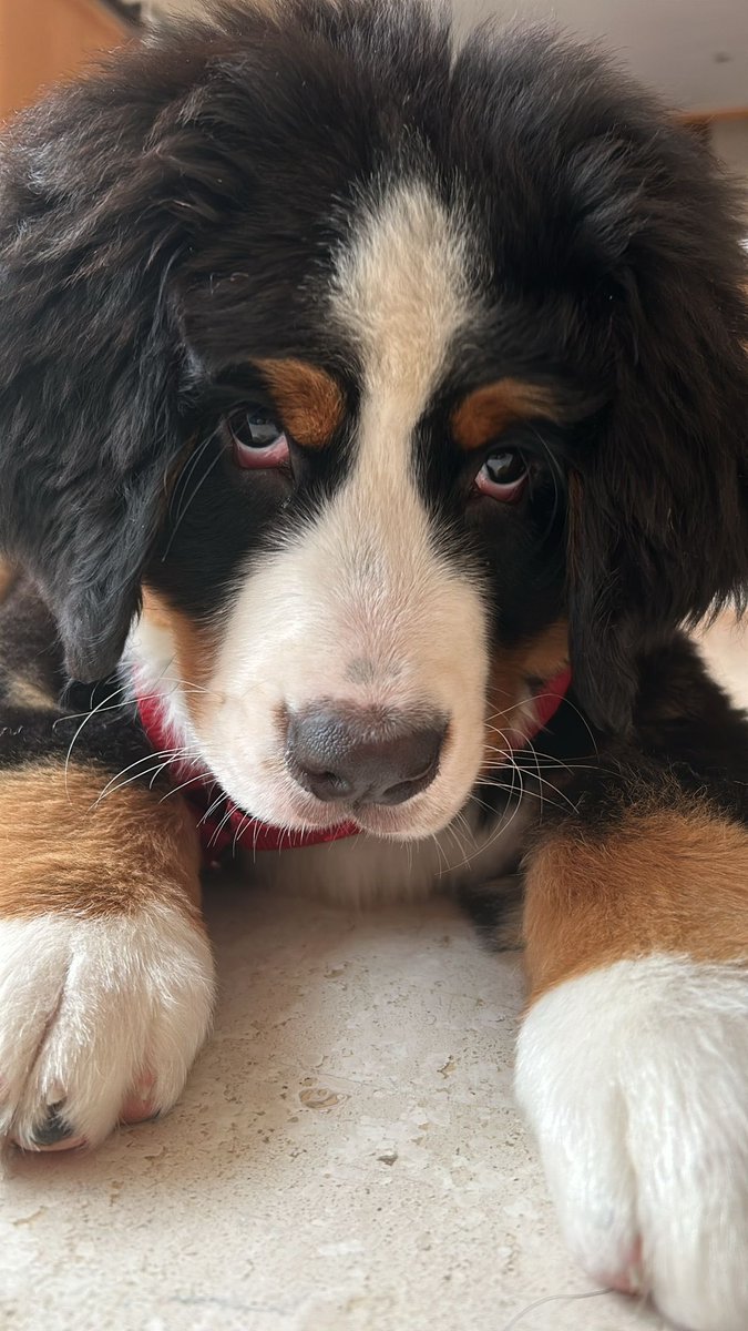 Starting Rio’s modeling portfolio