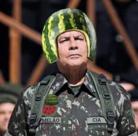 misteriouspavao's tweet image. Nenhum Piu desse senhor, cuja sua fala "democracia pujante" sobre a prisão de Braga Netto!