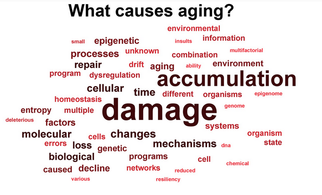 Peter Lidsky tweet media