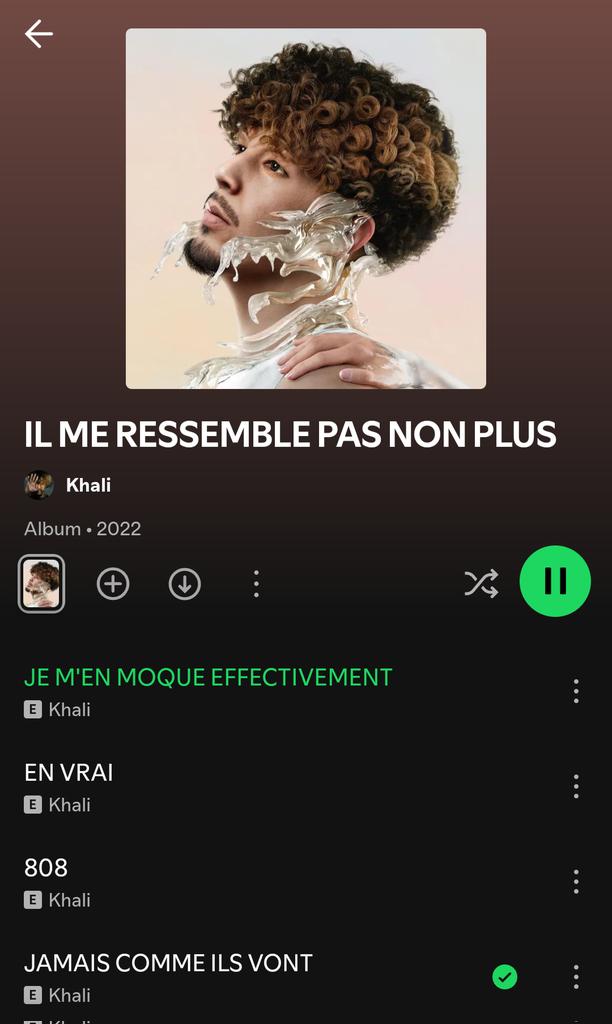 mehdi_lestermes's tweet image. Quand tu passes l'étape de "sa voix je peux pas" tu te rends compte qu'ils ont vraiment très forts.